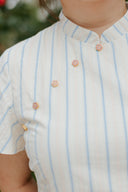 Flare Sleeve Cheongsam Shift Dress (Blue Stripes)