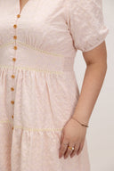 Embroidered Smocked Back Midi Dress (Pink Eyelet)