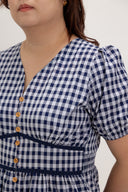 Embroidered Smocked Back Midi Dress (Navy Gingham)