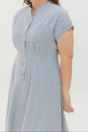 Vienna Stripe Dress (Blue)