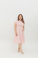 Vienna Stripe Dress (Pink)