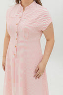 Vienna Stripe Dress (Pink)