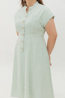 Vienna Stripe Dress (Green)