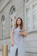 Maven Stripe Dress (Navy)