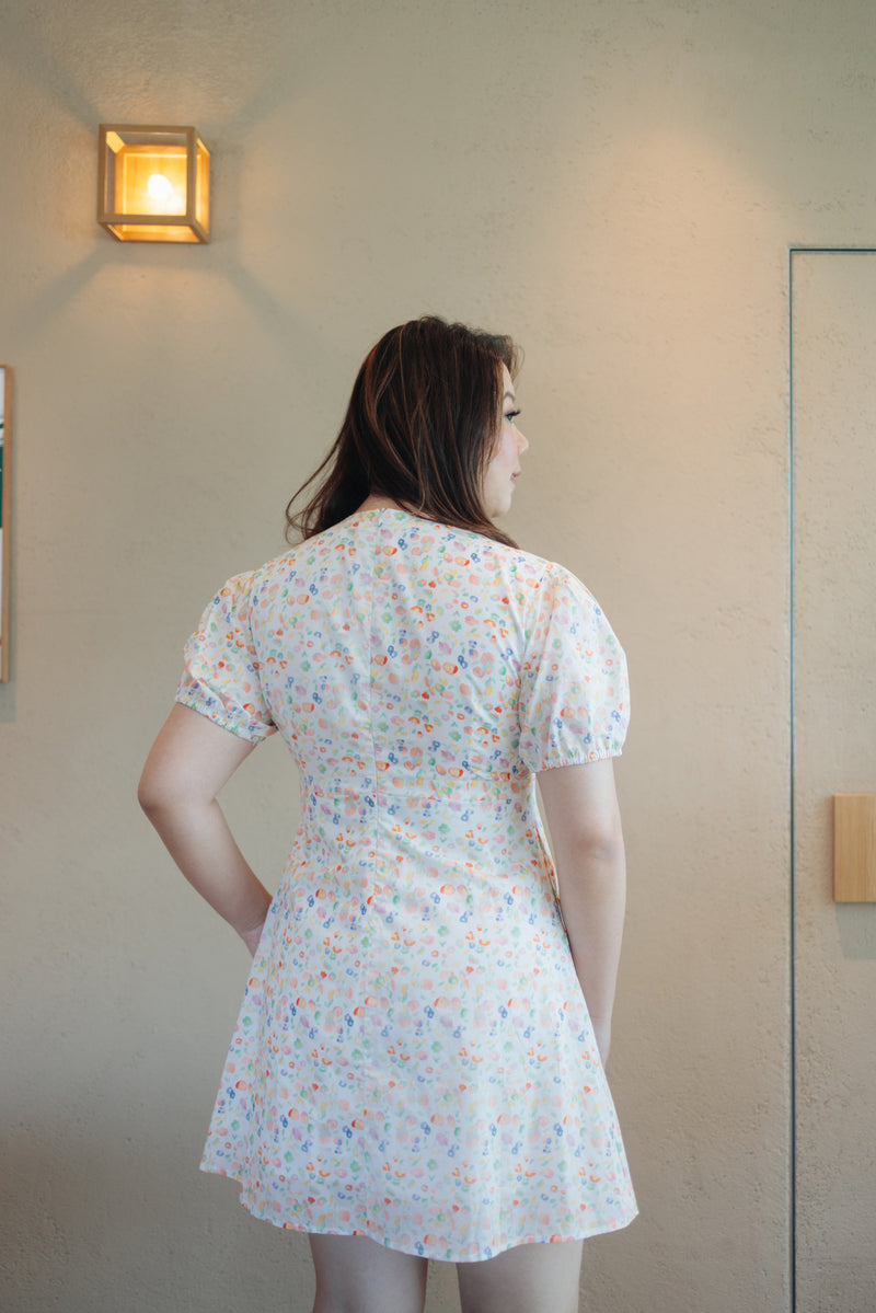 V-neck Floral Mini Dress (Rainbow)