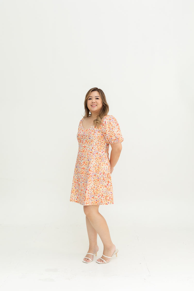 Meadow Bloom Dress (Sakura Blush)