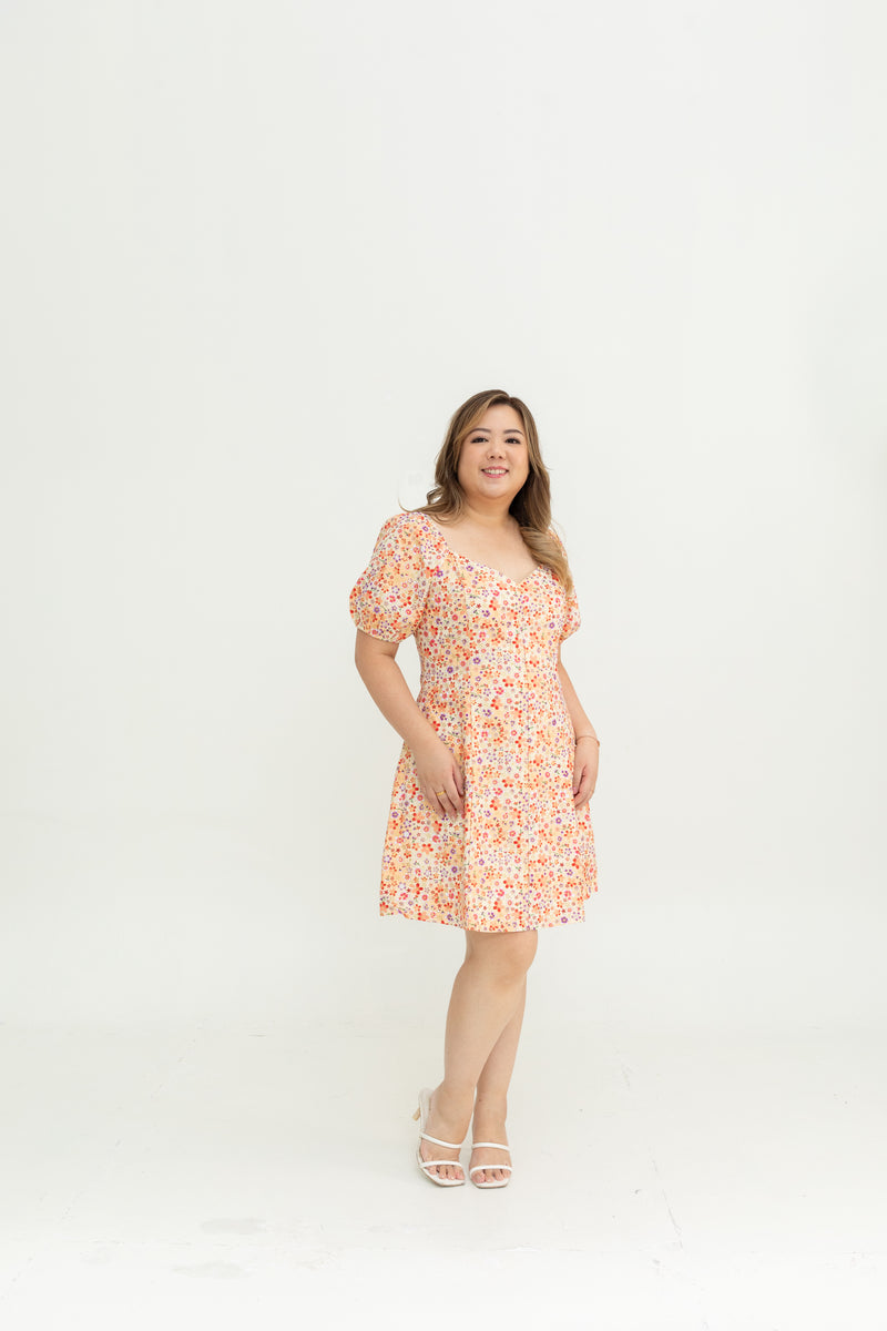 Meadow Bloom Dress (Sakura Blush)