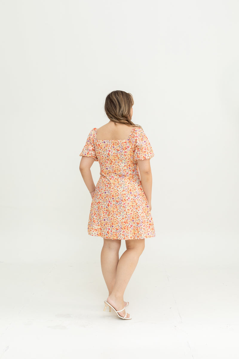 Meadow Bloom Dress (Sakura Blush)