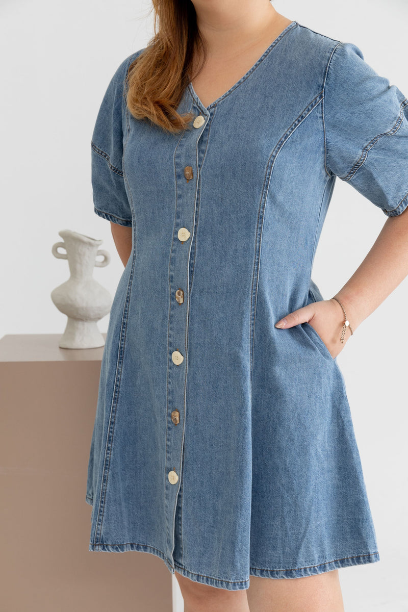 Front Button Denim Skater Dress (Light Wash)