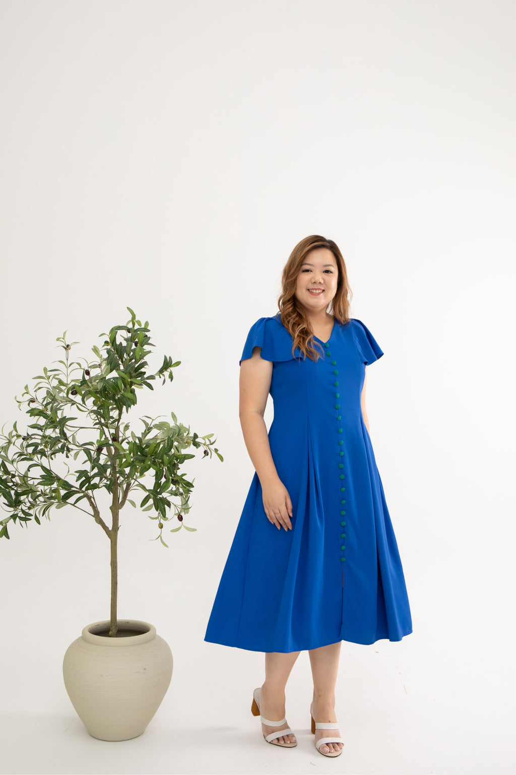 Contrast Buttons Skater Dress (Queen Blue)