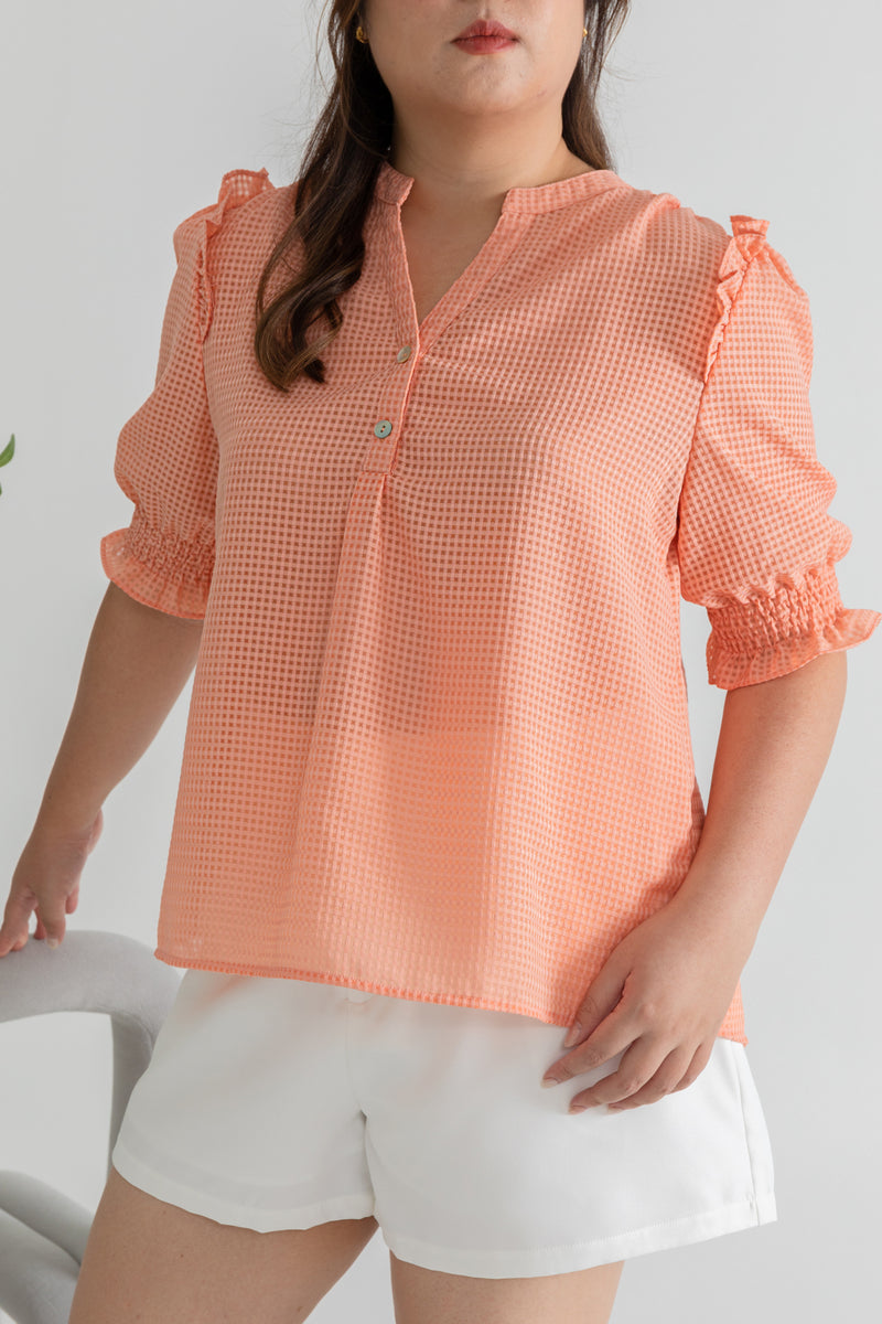 Embroidered Gingham 3/4 Sleeves Top (Peach)