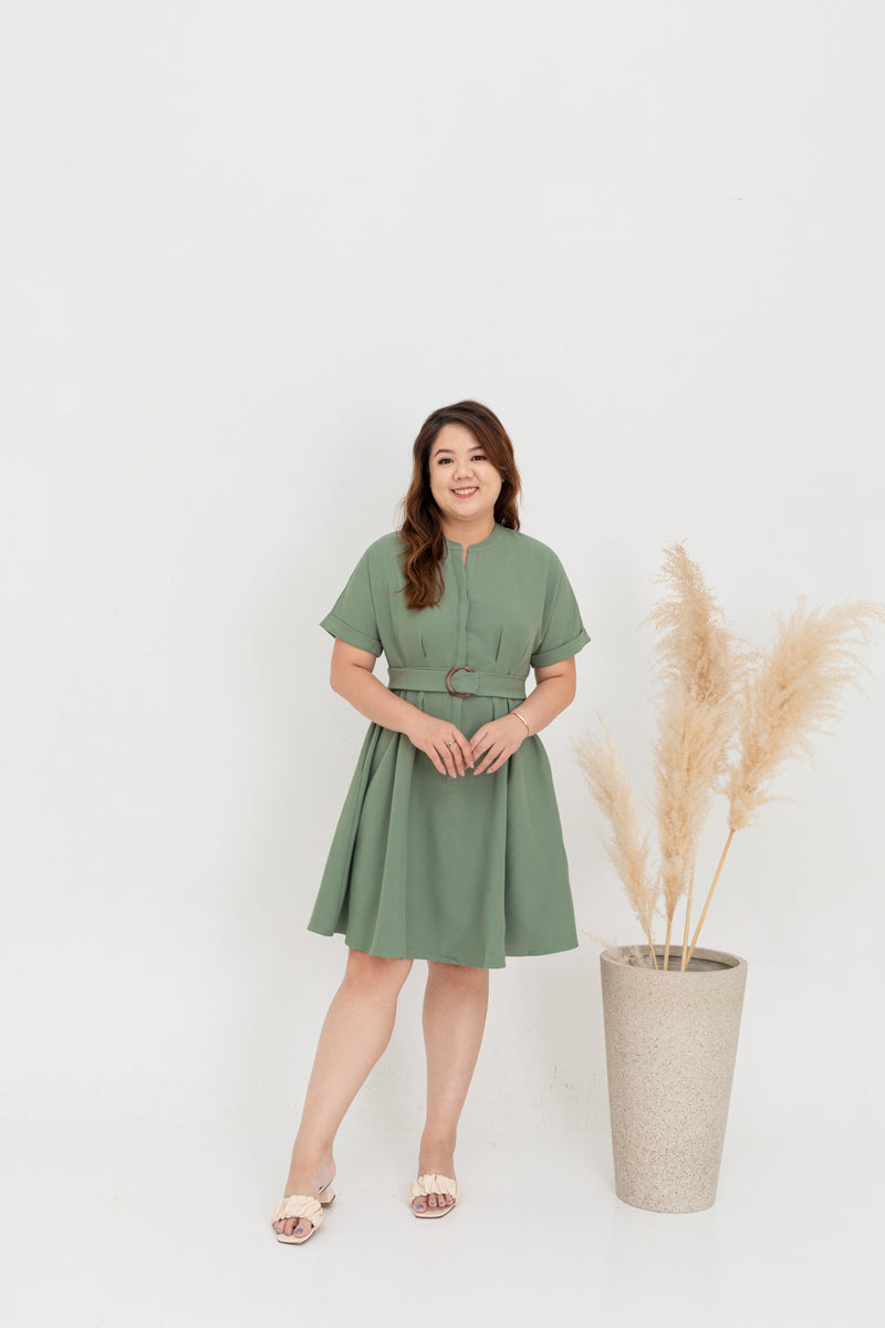 Skater Shirt Dress (Kelly Green)